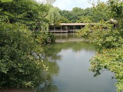 -西湖外事游船(花港观鱼码头)