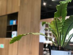 -山下C5cafe(惠通时代广场店)
