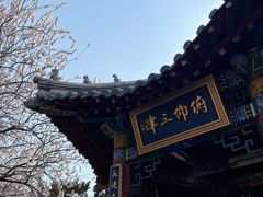 -桃花堤公园