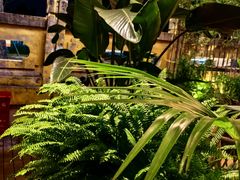 -芸鲜季·云南野生菌餐厅· 云南风物味研社(闵行店)