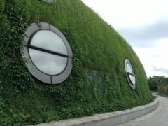 -吴淞炮台湾湿地森林公园烧烤区