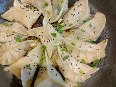 -小金鬼·煎饺·鸽子汤