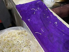 -王记老幺肥肠粉