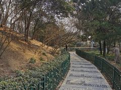 -西安市长乐公园