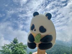 -卧龙中华大熊猫苑神树坪基地