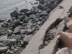 -深圳湾公园(南山区)