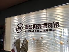 -青岛贝壳博物馆