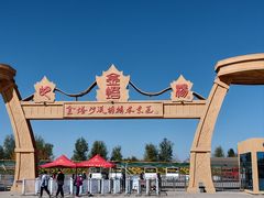 -金塔沙漠胡杨林景区