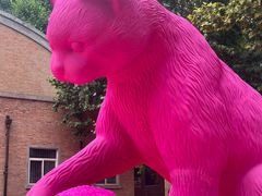 -西安电影制片厂