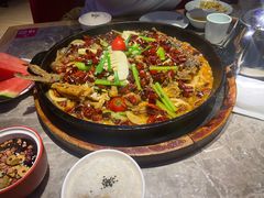 -老板恋上鱼(恒隆广场店)