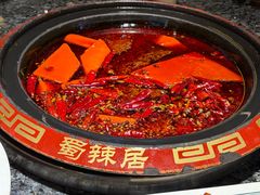 -蜀辣居鲜货老火锅(红牌楼店)