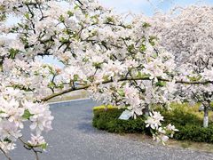 -全季酒店(重庆上清寺牛角沱地铁站店)