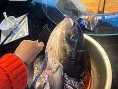 -好灶头妈妈菜·柴火灶台鱼·千岛湖土菜地标美食