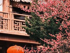 -西安青龙寺遗址景区