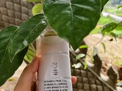 -瑞丽独树成林风景区