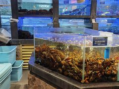 水产区-苏福记·海鲜佬(凤城四路店)