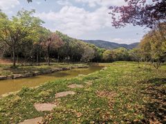 -悦禧耕岛酒店·指月坞餐厅·旺山特色农家乐