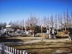 -上海长兴岛郊野公园