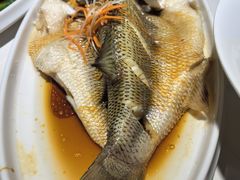 -来相会饺子·新辽菜(甘家口店)