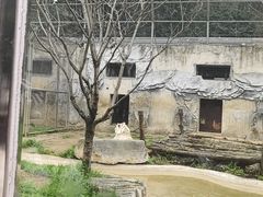 -黔灵山公园