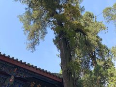-武侯墓风景区