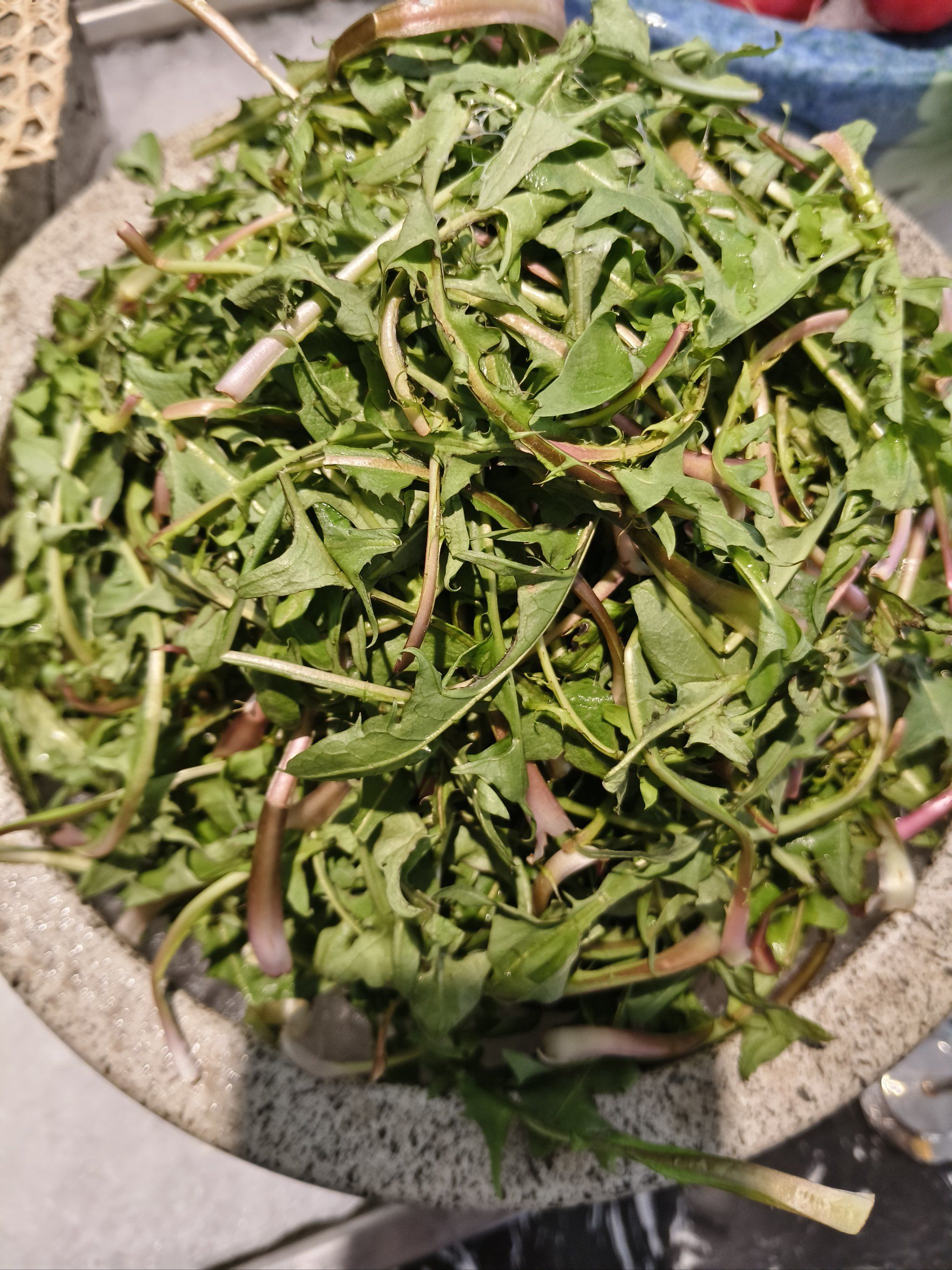 清新滋味～山野菜来一盘