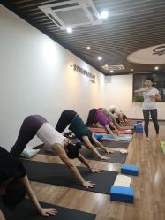 -兴亚瑜伽20年老馆