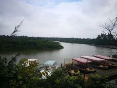 -东寨港红树林旅游区