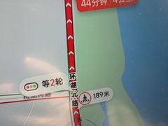 -合肥滨湖国家森林公园