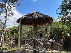-上海野生动物园