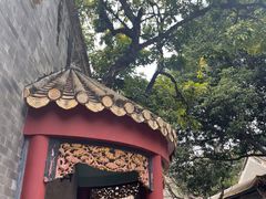 -顺峰山公园
