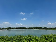 -恒盛海鲜餐厅