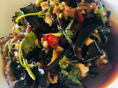 -食家鸽园