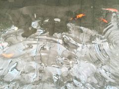 -哈尔滨师范大学(江南校区)