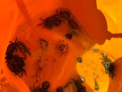 -东戴河风景区-止锚湾