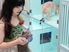 -猫宠乐园·专业洗护