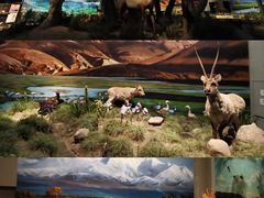 -中国湿地博物馆