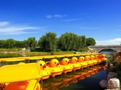 -大兴滨河森林公园