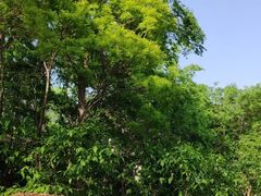 -唐城墙遗址公园