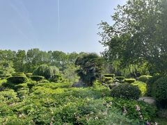 -洛阳市隋唐城遗址植物园