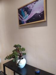 -盘子女人坊古装写真摄影(天津总店)