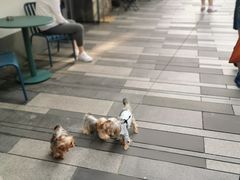 -Luneurs(幸福里店)