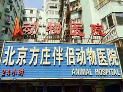 -宠颐生中康贝怡动物医院