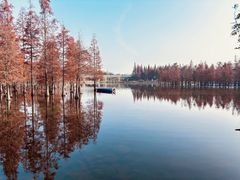 -白鹭湾湿地公园