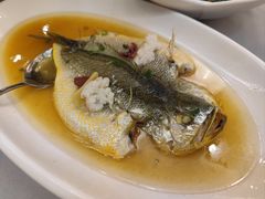 清蒸大黄鱼-银都上海菜馆(粤海东路店)
