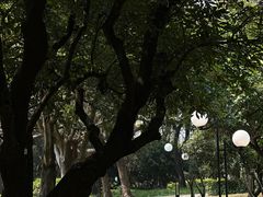 -荔香公园