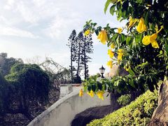 -鼓浪屿钢琴博物馆