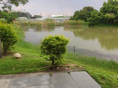 -海上田园