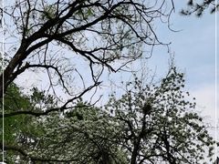 -长春净月潭风景名胜区