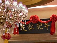 -友谊肥牛